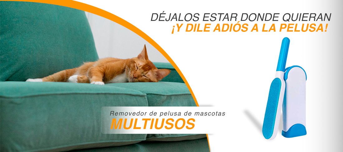 Déjalos estar donde quieran sin problemas ¡Con el removedor de pelusa multiuso!